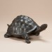 A0712AC Turtle Small