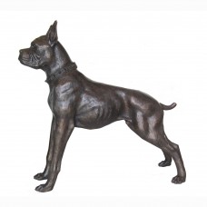 A2839 Life Sized Standing Bronze Boxer Dog w. Spiked Collar