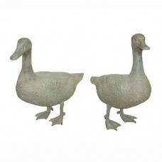 A0637 Pair Of Standing Bronze Ducks 